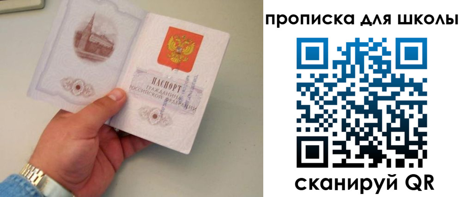 временная регистрация поиск в Мытищах